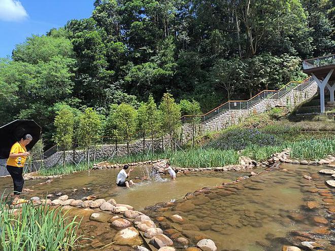 飞天茅台价格下跌，逼近2000元大关——市场动态与消费趋势分析